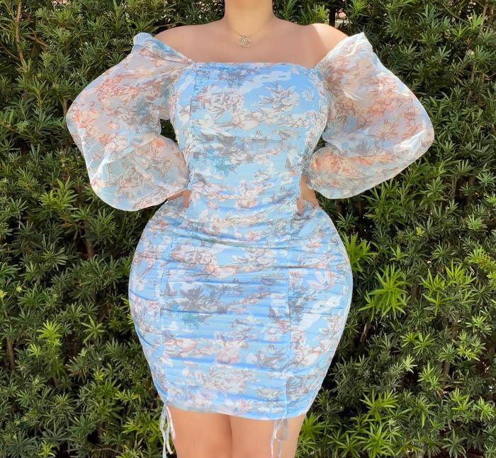 Blue Floral Ruched Dress