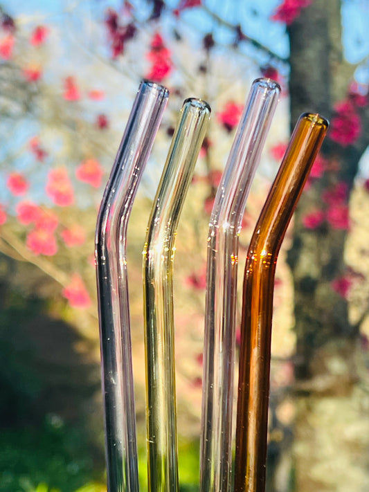 Colourful Reusable Glass Straw