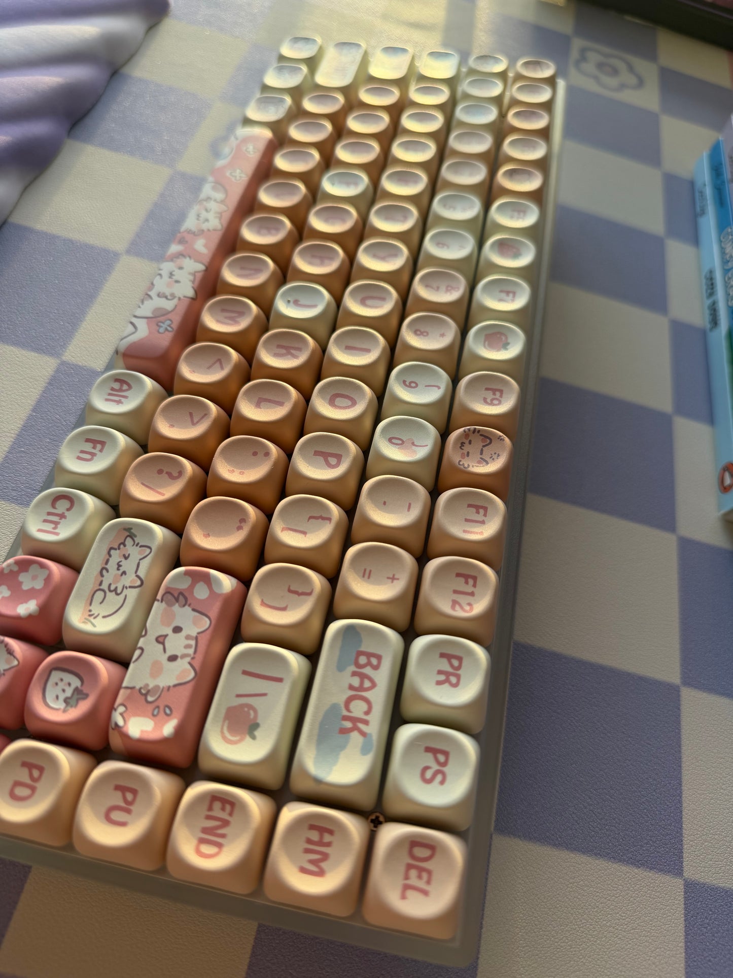 Sweet Berry Cat AK98 / K840