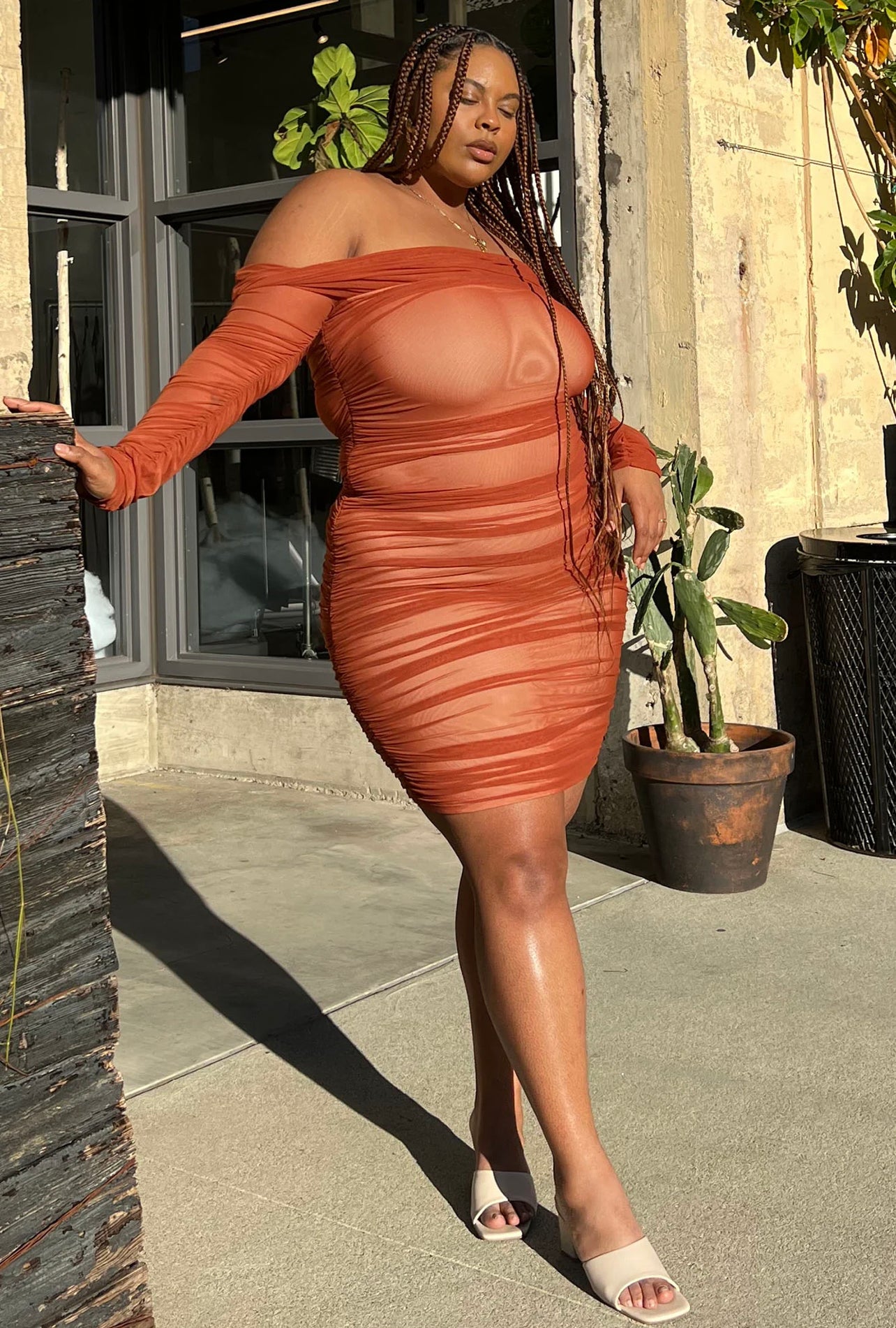 Rust Ruched Mesh Dress